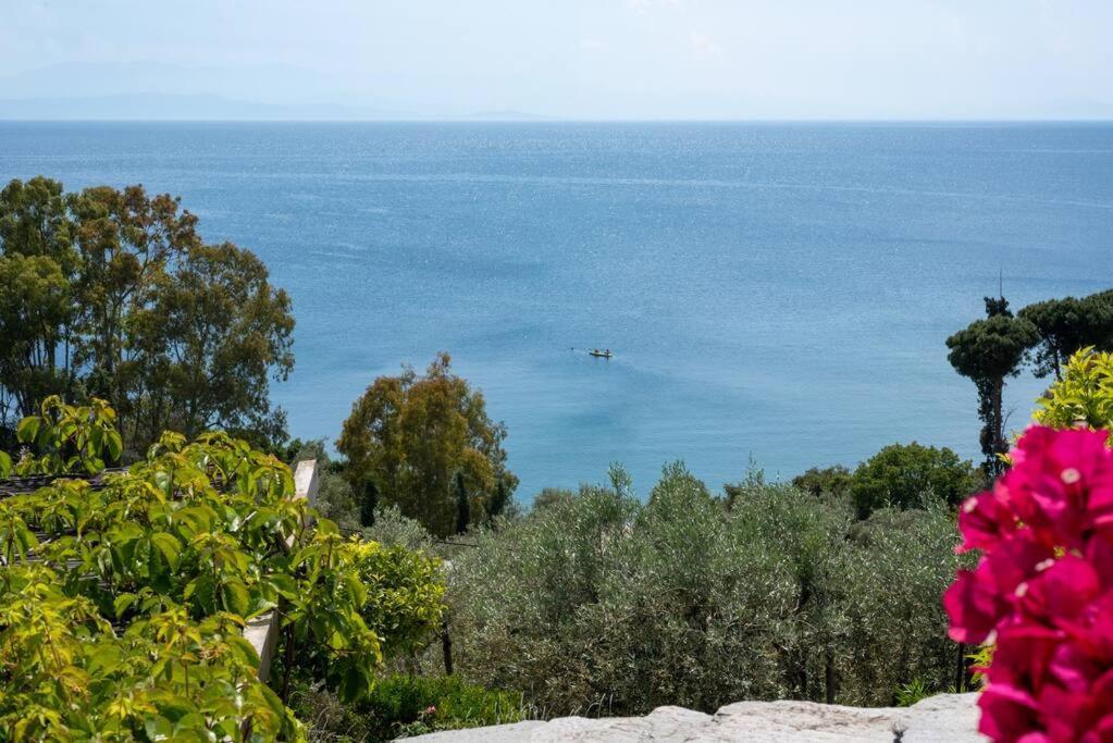 Seaside House With View Over Pagasitikos Áfissos Exterior foto